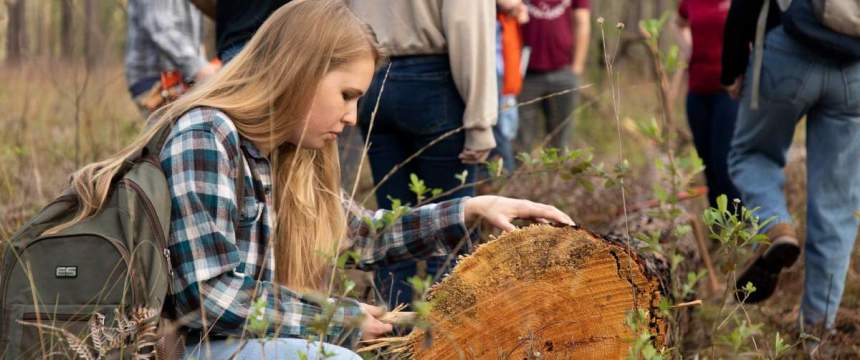A female student inspects beetle damage to a tree