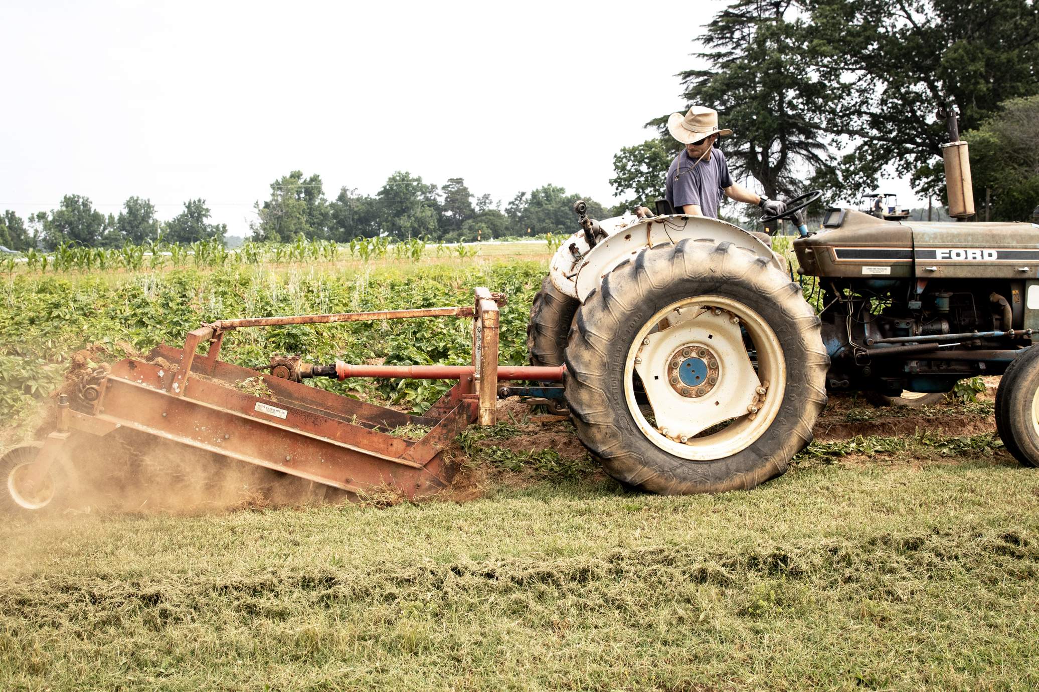 UGA Experimental Farm employees demonstrate how potatoes are picked with a special attachment.