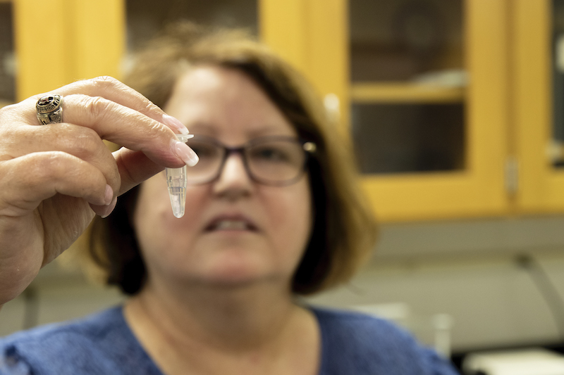 Heather Gladfelter holds a tube used to extract DNA