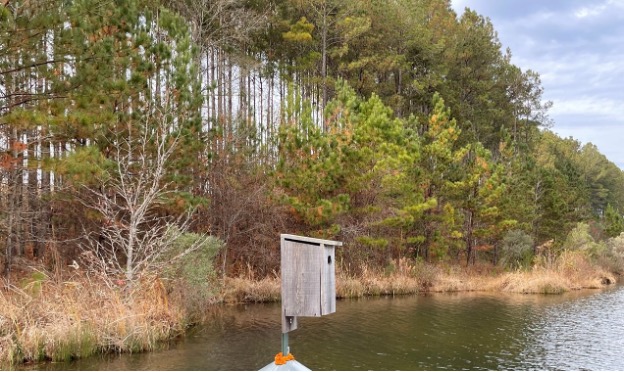 A wood duck box on the side of a lake