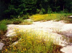 photo of granite outcrop