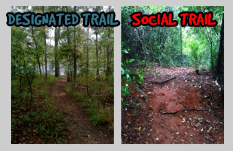Designated Trail