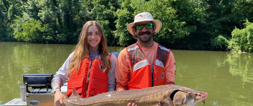 Graduate students Matt Phillips and Savannah Perry hold an adult lake sturgeon they collected in the Coosa River
