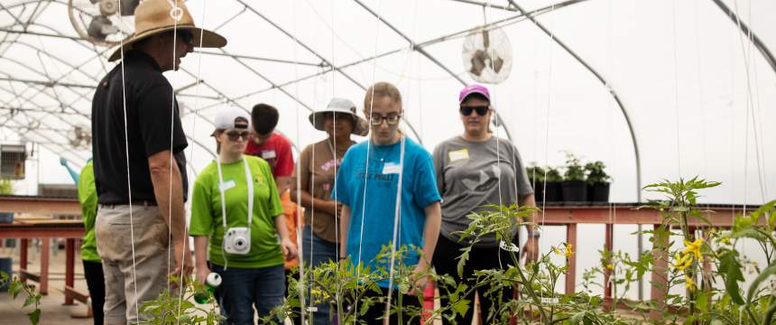 Campers look at tomatoes growing in a greenhouse