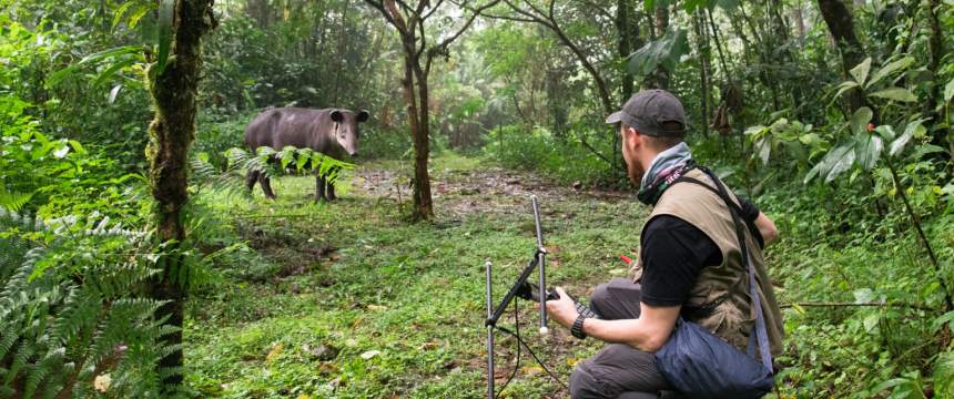 Jorge Rojas tracks a tapir